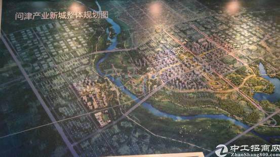 武汉新洲问津项目国有土地指标招拍挂