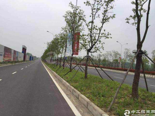 上海顾村100亩优质国有指标用地出售1