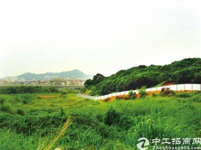 武汉新洲国有指标工业用地50亩招拍挂5