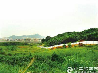 武汉新洲国有指标工业用地50亩招拍挂6