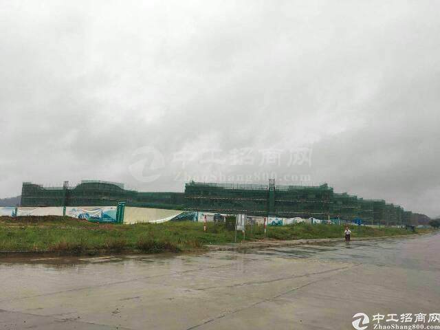广东湛江政府优质土地100亩，国有产权52