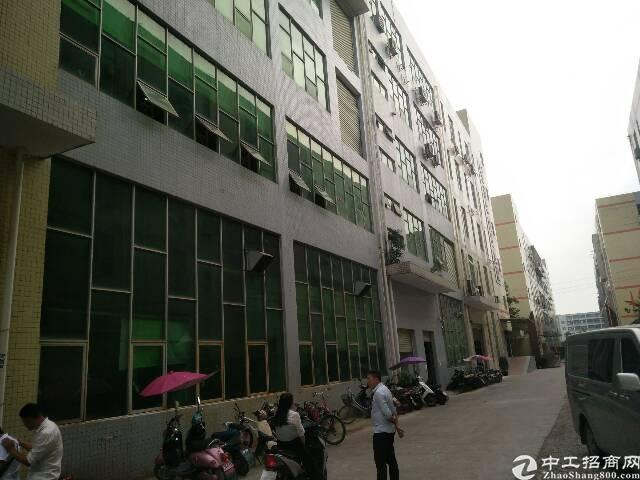 现在可以去深圳公明吗 2903d31a098b1488094dc000b60ed31f.jpg