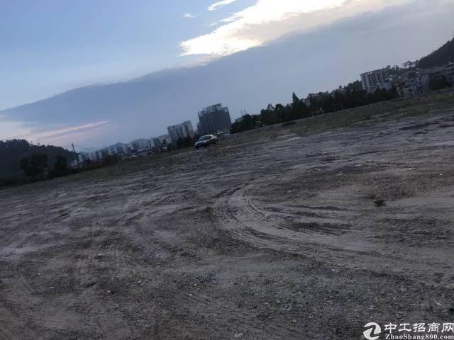 惠城区小金口金龙大道边5000方空地出租1