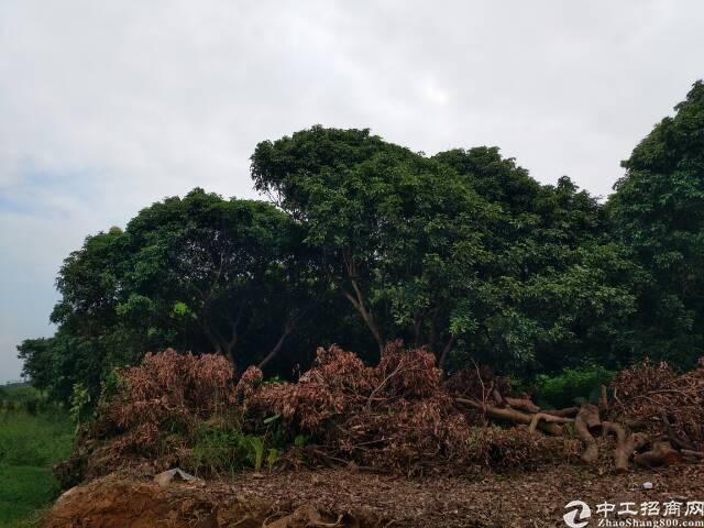 云南昆明国有土地出售60亩招卖挂