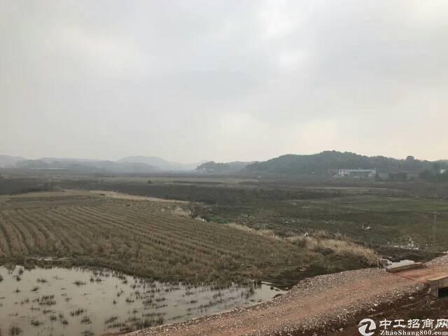 广东河源东源国有土地出售20亩起售