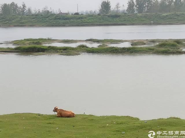 湖北武汉国有土地出售2