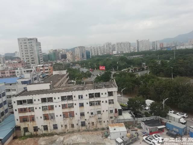 东莞长安镇有多少人口_投7.6亿元提升环境品质
