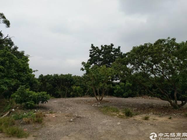 湖南衡阳，国有土地出售，80亩，招卖挂