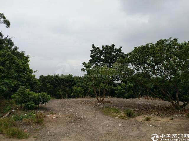 湖南衡阳，国有土地出售，80亩，招卖挂6
