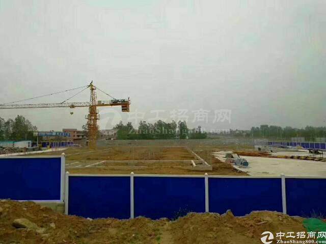 广东湛江国有优质土地100亩出售。2