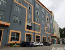 观澜松元中心村新出楼上标准厂房和办公室2800平方大小分租