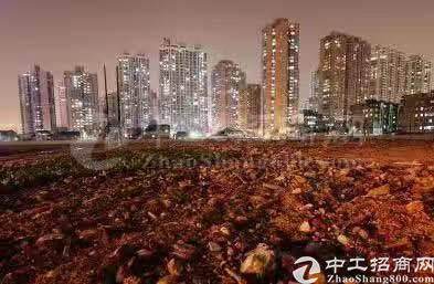 湖北武汉新洲双柳国有指标工业用地80亩招2