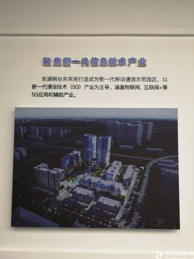 光谷软件园民族大道东湖网谷未来信息科技园招商4