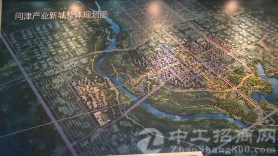 武汉市新洲区问津招拍3