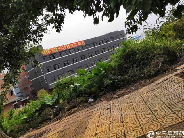 白云区太和人口_广州白云区太和镇图片(3)