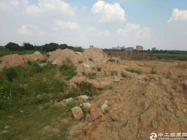 广东省茂名市300亩国有指标工业用地出售