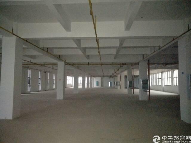 成熟科技园招租