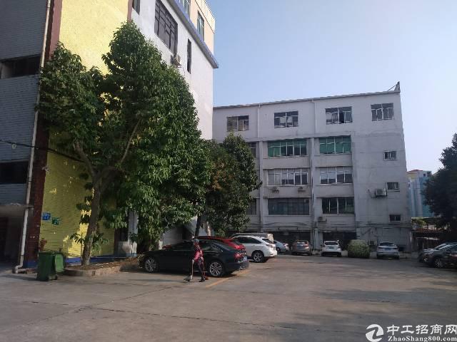 黄埔区穗东街道人口普查_广州黄埔区街道划分图(2)