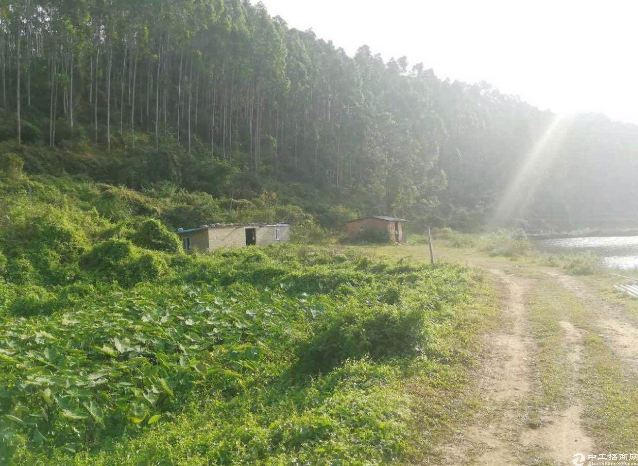 花都区狮岭镇土地出售2