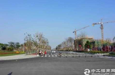 广东省肇庆市四会区江谷新出一手招拍挂土地1