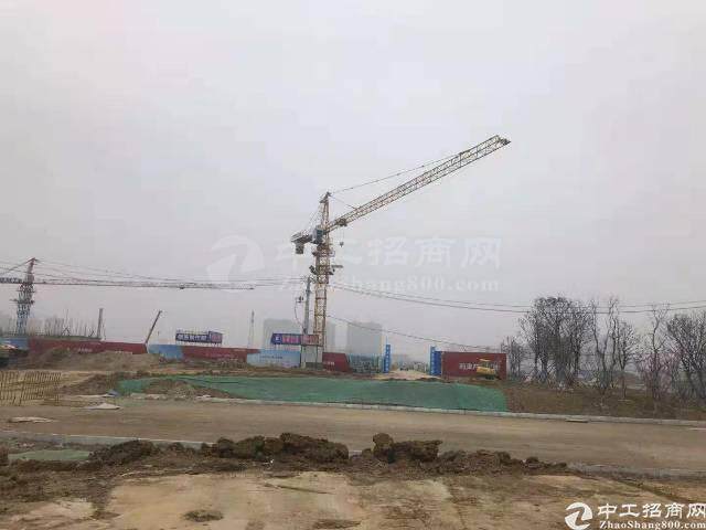 深圳市宝安中心区后瑞土地出租50亩3