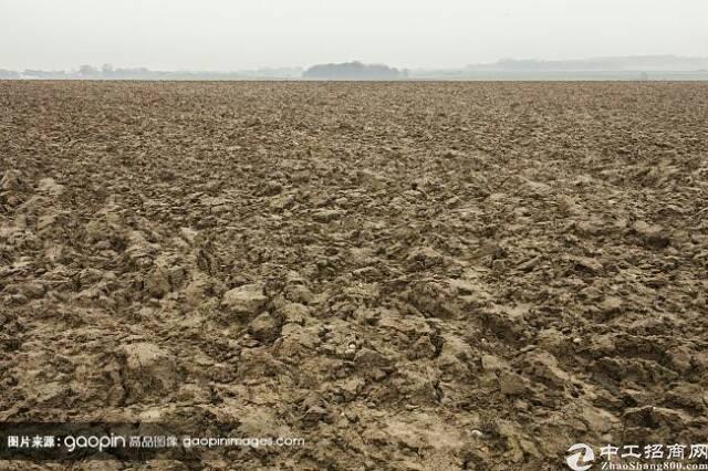 惠东大岭环城路边国有土地5285平，可建2