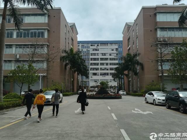 石岩镇科技园区内,带精装修100～800平方
