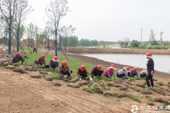 河南许昌国有指标土地50亩招拍挂1