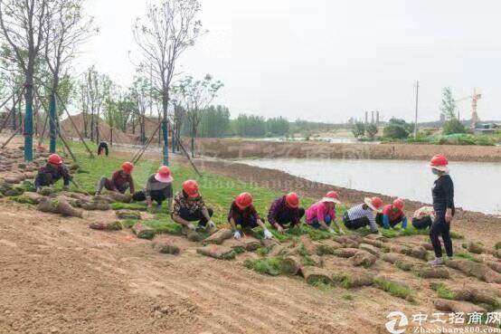 河南省许昌市长葛市国有证30亩土地招牌挂