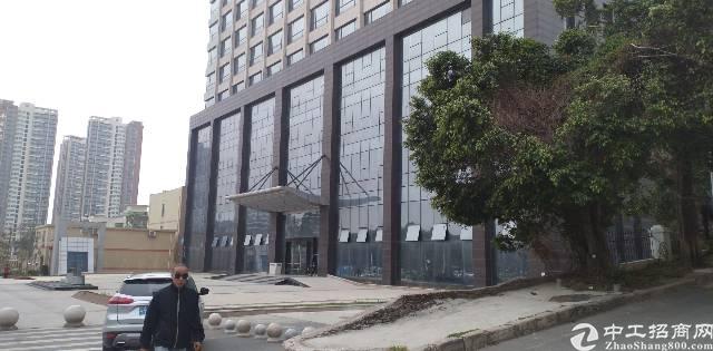 平湖华南城写字楼3.1万平米出租