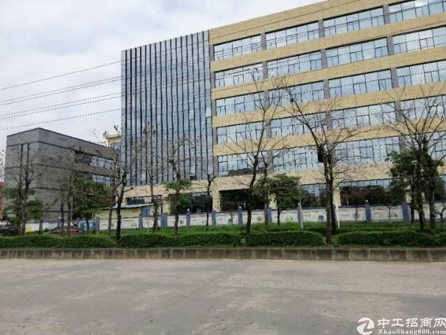 均禾街加石路全新写字楼商业综合体整体包租