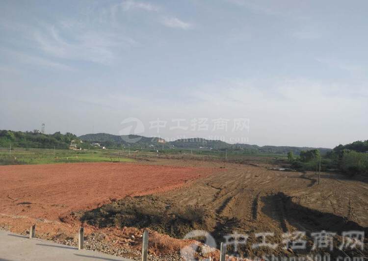 广东省工业用地持国有证出售300亩可分1