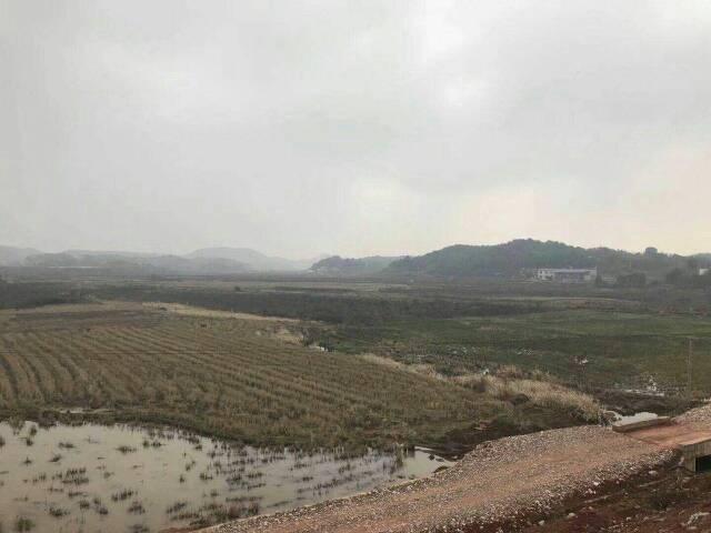 出售株洲市云龙国有指标土地200亩3