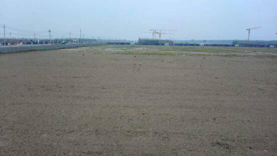 武汉市新洲区国有指标工业用地30亩招拍挂