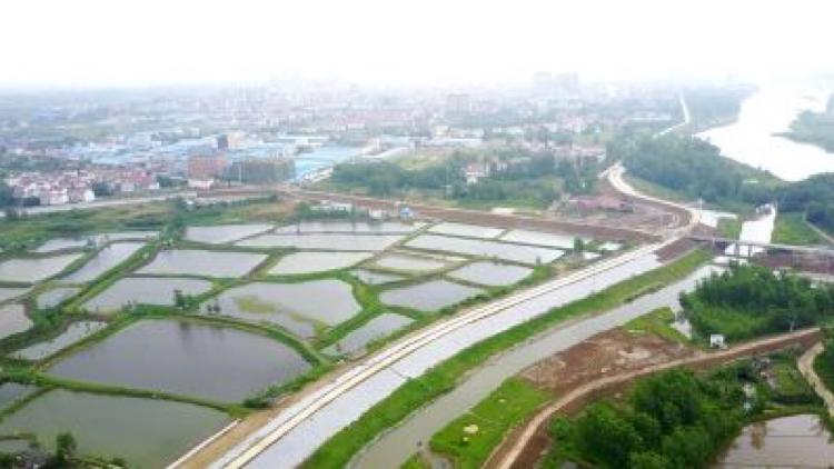 湖北省武汉市双柳镇250亩国有土地出售