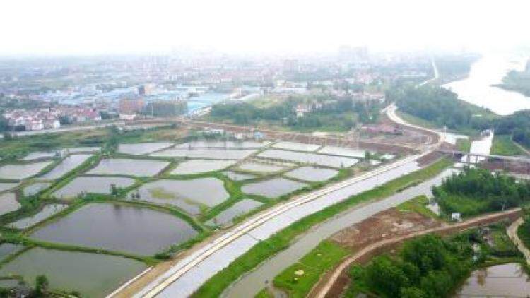 湖北省武汉市双柳镇250亩国有土地出售4