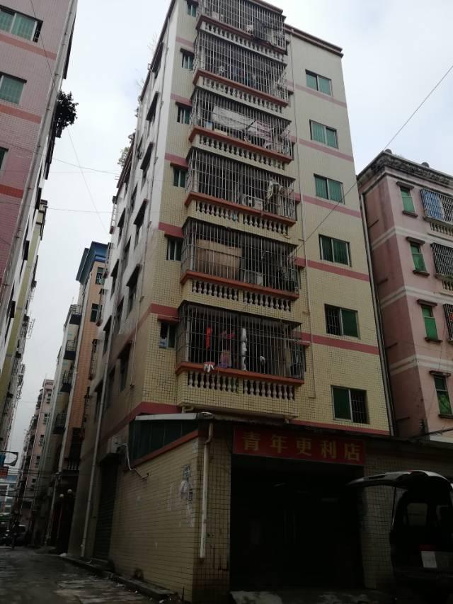 凤岗镇金凤凰成熟住宅楼1