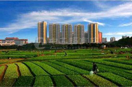 安徽滁州市来安国有150亩工业用地出售3