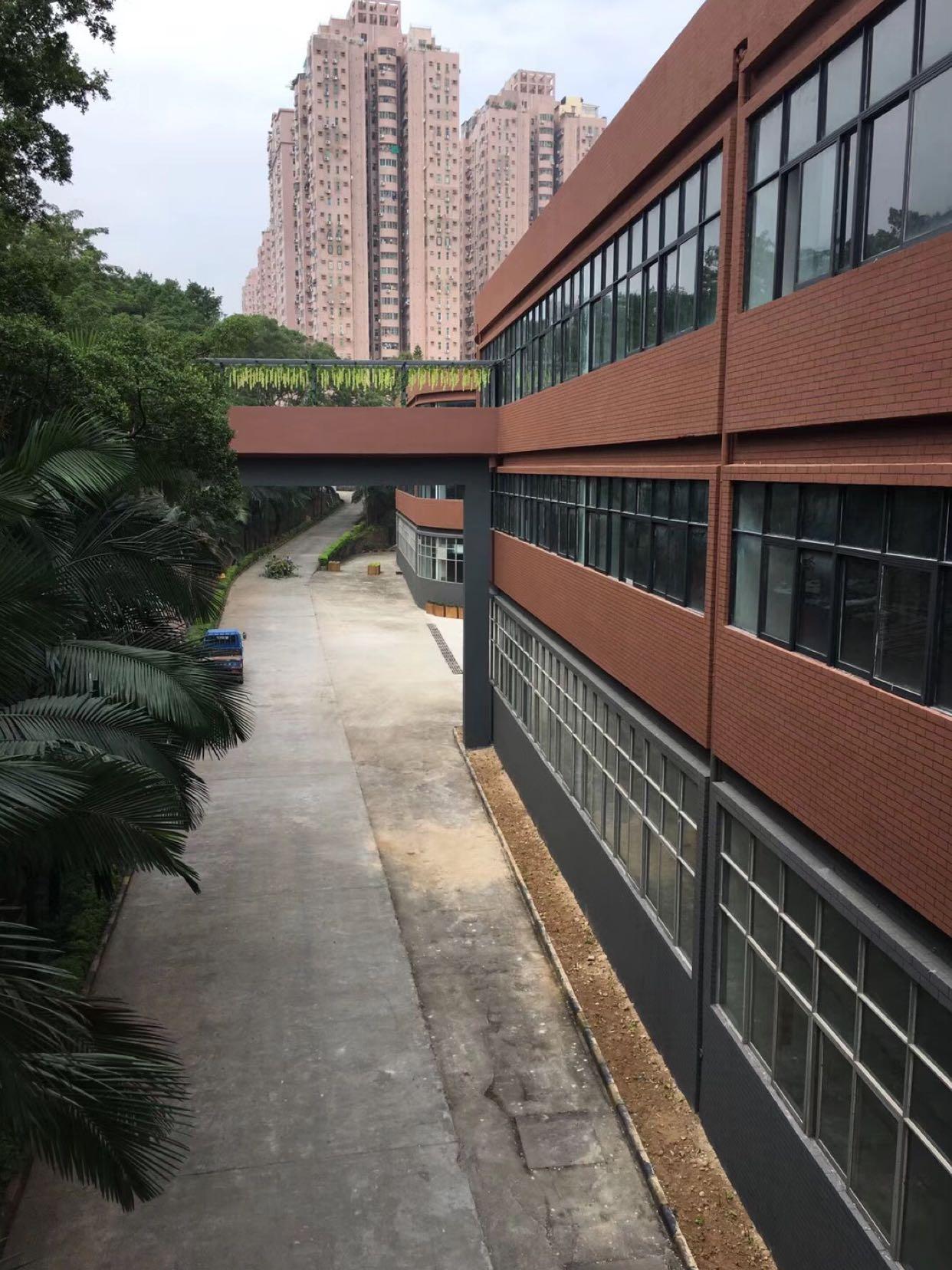 布吉木棉湾地铁口花园式写字楼出租