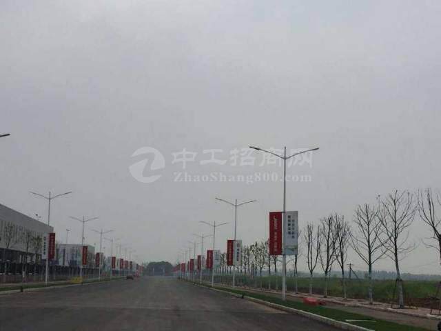 广东省湛江市优质国有土地出售政府补贴更多3