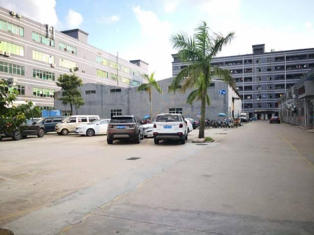 深圳龙岗区实际有多少人口_深圳龙岗区地图(3)