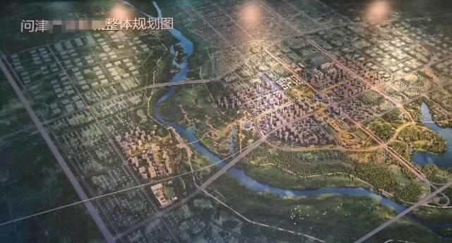 湖北省武汉市国有100亩土地挂拍2