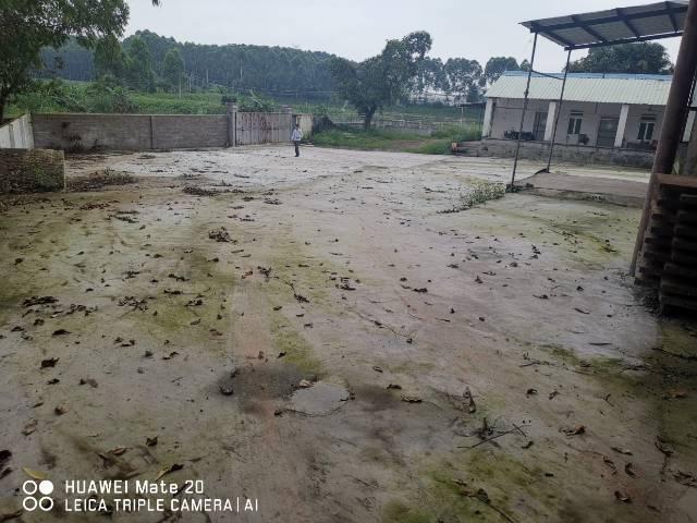 增城水泥硬化空地2000出租带500厂房2