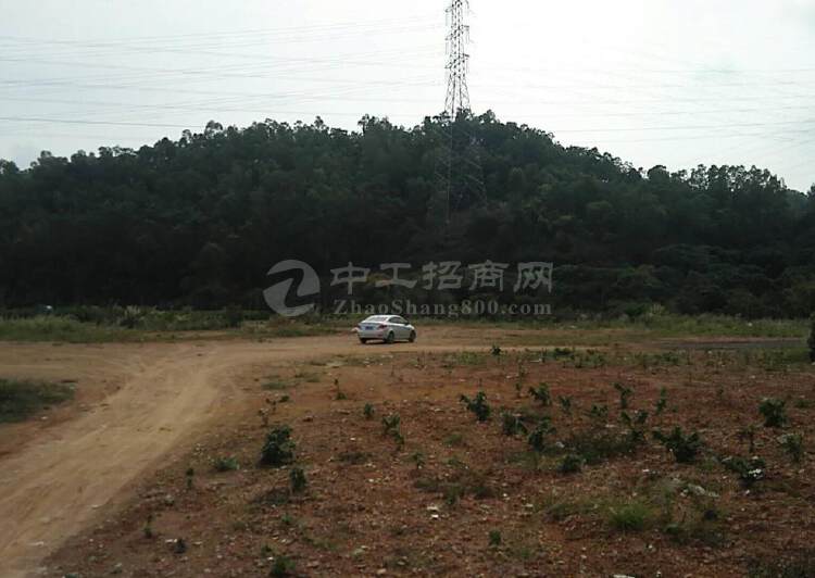 广东湛江200亩工业土地出售政府补贴更多6