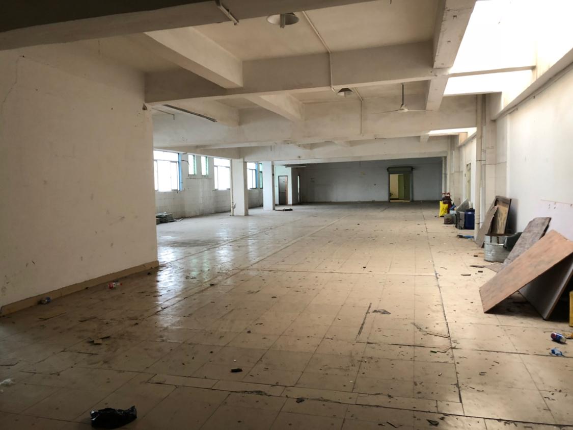 科苑城新空厂房1480平价格美丽