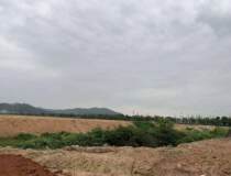 湖南湘潭1000亩土地出售20亩起分