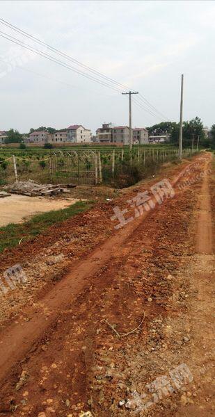 茂名高州市10亩空闲用地出租2