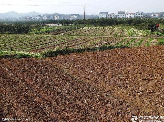 荆州市新区国有指标土地50亩出售