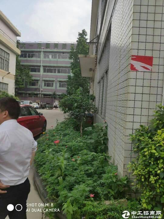 黄埔区穗东街道人口普查_广州黄埔区街道划分图(3)