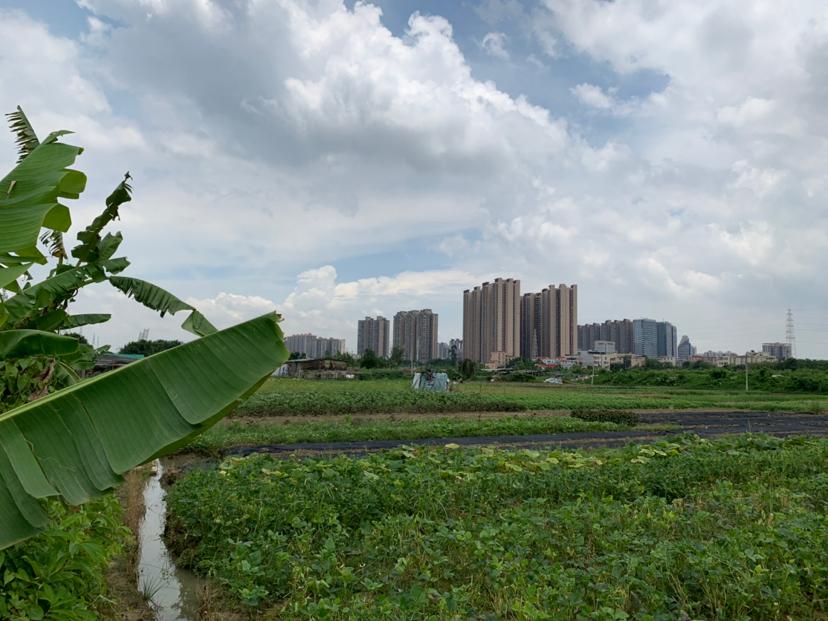 广东珠海国有双证齐全土地800亩出售2